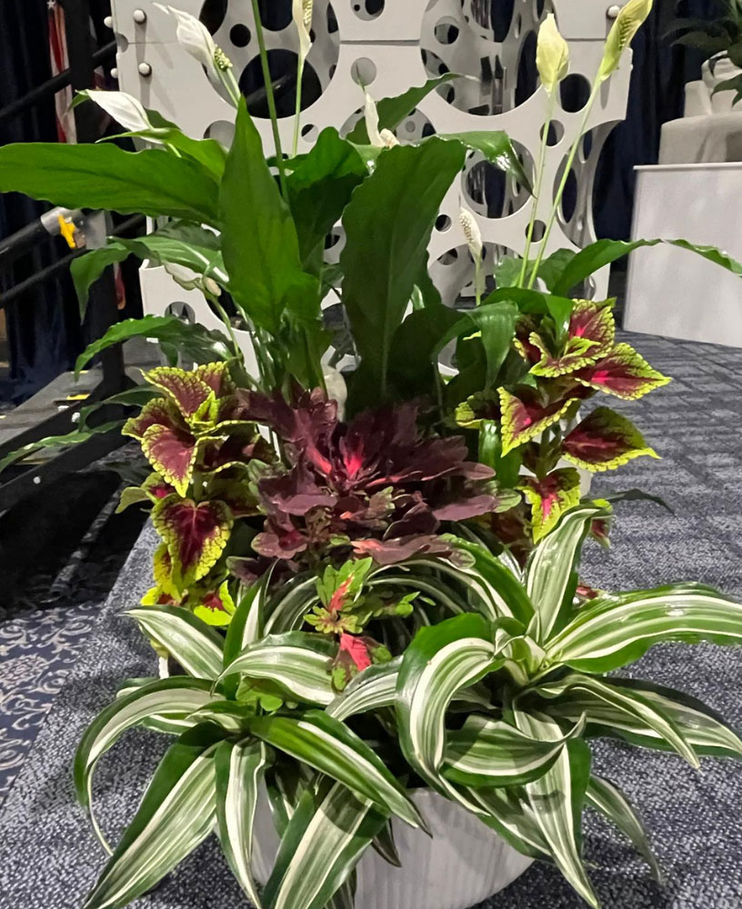 Corporate & Medical Event Services | Florida Events Coordinator | LiveFusion Events, LLC
