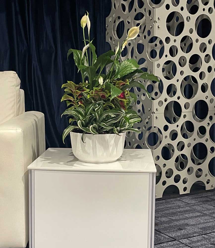 Medical Event Planning